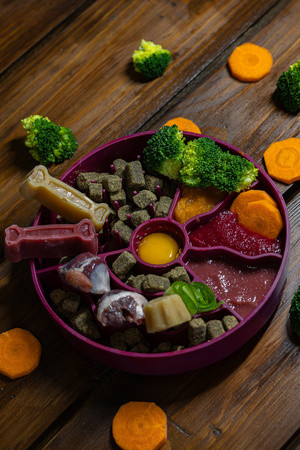 Fiboo Slow Fiboowl habzsolásgátló tál burgundi 19cm