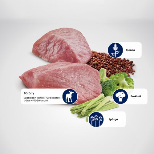 N&D Quinoa Weight Management Bárány Medium & Maxi Száraz Kutyaeledel 7kg