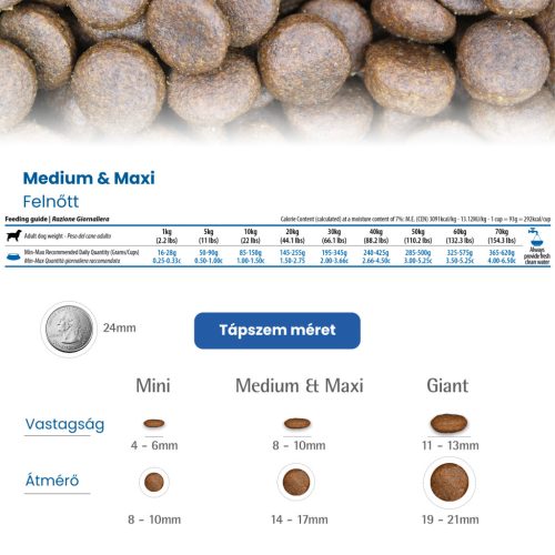 N&D Quinoa Weight Management Bárány Medium & Maxi Száraz Kutyaeledel 7kg