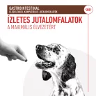 Royal Canin Veterinary Gastrointestinal kutya jutalomfalat 230g