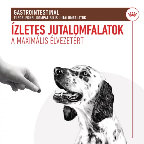 Royal Canin Veterinary Gastrointestinal kutya jutalomfalat 230g