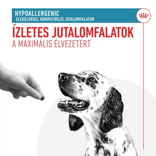 Royal Canin Veterinary Hypoallergenic kutya jutalomfalat 230g