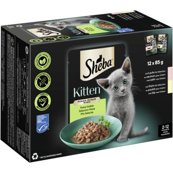 SHEBA macska tasak MP kitten 12x85g