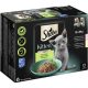 SHEBA macska tasak MP kitten 12x85g