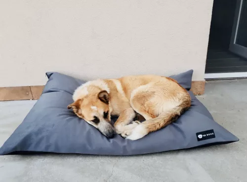 NRDOGS Kutyafekhely Basic Magic szürke L 90x56cm