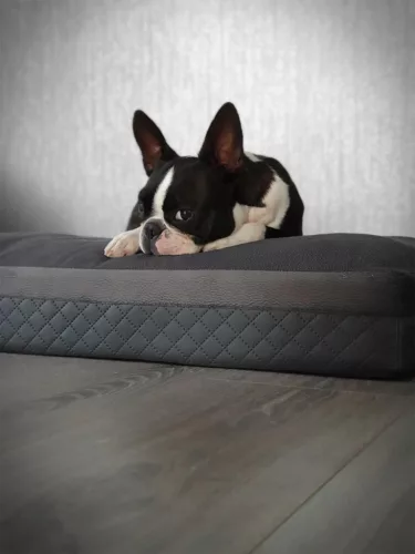 NRDOGS Kutyafekhely Premium Magic szürke XL 120x80cm