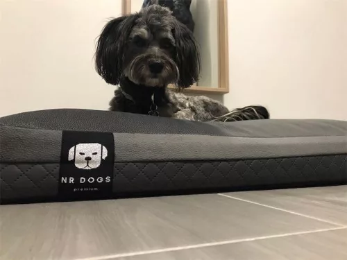 NRDOGS Kutyafekhely Premium Magic szürke M 60x80cm