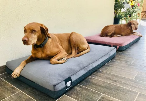 NRDOGS Kutyafekhely Premium Magic szürke L 100x70cm