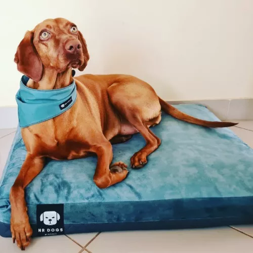 NRDOGS Kutyafekhely Premium Magic Ocean M 60x80cm