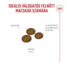 Royal Canin Feline Health Nutrition Fussy 400g