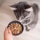 Virbac Veterinary HPM felnőtt nedves macskaeledel ivartalanított lazaccal MP 12x85g