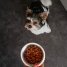Virbac Veterinary HPM felnőtt száraz kutyaeledel small 3kg