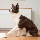Virbac Veterinary HPM felnőtt száraz kutyaeledel medium&large 12kg