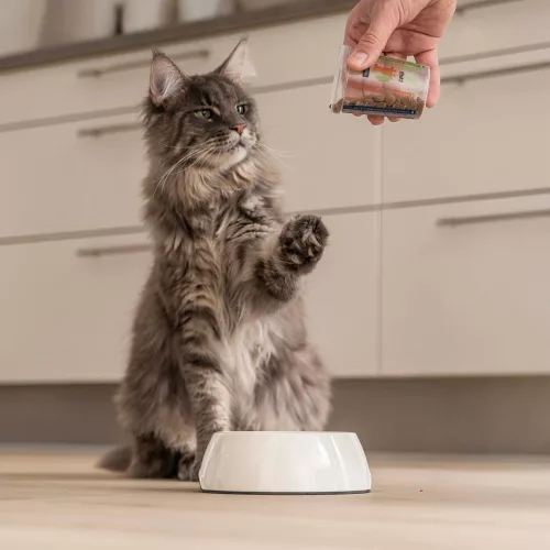 Virbac Veterinary HPM felnőtt száraz macskaeledel ivartalanított 1,5kg