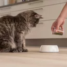 Virbac Veterinary HPM idős száraz macskaeledel ivartalanított 3kg