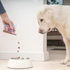 Virbac Veterinary HPM felnőtt medium&large ivartalanított kutya szárazeledel 16kg