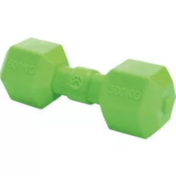 Fit+Fun kutyajáték TPR súlyzó zöld 20cm