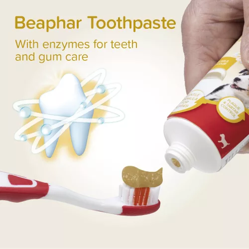 Beaphar Dental Kit Puppy kutya kölyök fogápoló készlet 50g