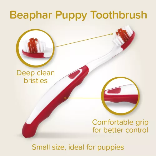 Beaphar Dental Kit Puppy kutya kölyök fogápoló készlet 50g