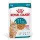 Royal Canin Feline Health Nutrition 11+ ageing tasak MP 11+ ageing gravy 12x85g