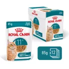 Royal Canin Feline Health Nutrition 11+ ageing tasak MP 11+ ageing gravy 12x85g