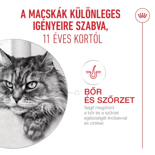 Royal Canin Feline Health Nutrition 11+ ageing tasak MP 11+ ageing gravy 12x85g