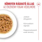 Royal Canin Feline Health Nutrition 11+ ageing tasak MP 11+ ageing gravy 12x85g