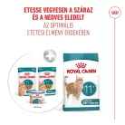 Royal Canin Feline Health Nutrition 11+ ageing tasak MP 11+ ageing gravy 12x85g