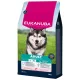 Eukanuba Large Breeds adult lazac 12kg