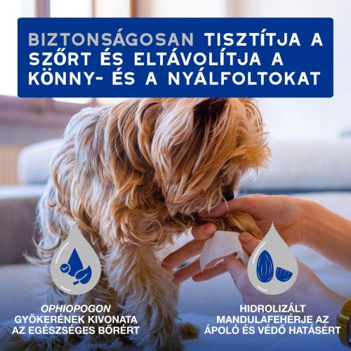 DOUXO SPA Törlőkendő kutyák és macskák számára 100db