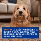 DOUXO SPA Gubancoldó spray kutyáknak 295 ml