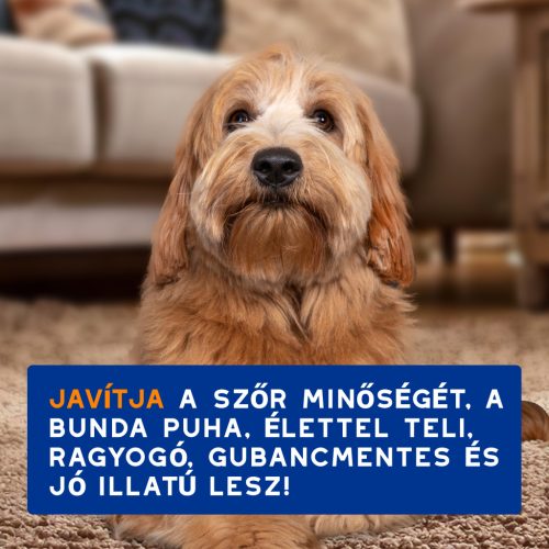 DOUXO SPA Gubancoldó spray kutyáknak 295 ml