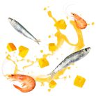 DELICKCIOUS Paw - licking Soup rák & szardínia & sütőtök nedves macskaeledel 80g