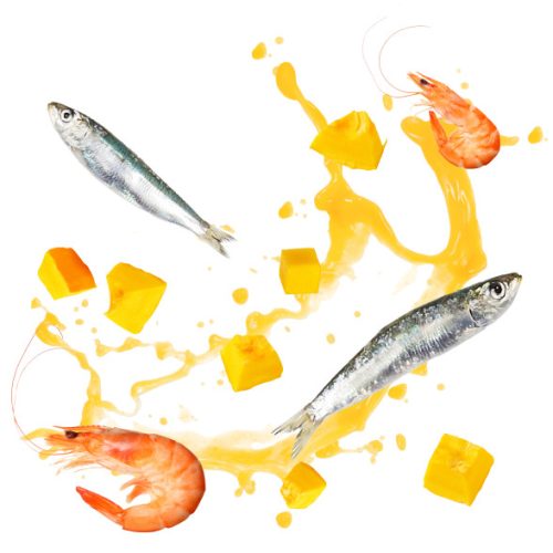 DELICKCIOUS Paw - licking Soup rák & szardínia & sütőtök nedves macskaeledel 80g