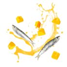 DELICKCIOUS Nose - licking Creamy Snack kiegészítő eledel macskáknak szardínia & sütőtök 4x15g