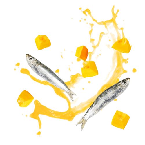 DELICKCIOUS Nose - licking Creamy Snack kiegészítő eledel macskáknak szardínia & sütőtök 4x15g