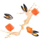 DELICKCIOUS Purr - for Dinner lazac & kagyló nedves macskaeledel 12x85g