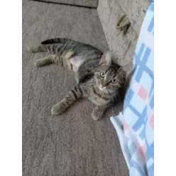 Manó bízni szeretne valakiben