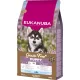Eukanuba gabonamentes Large Breeds száraz kutyaeledel kölyök tengeri hal 12kg