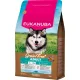 Eukanuba gabonamentes Large Breeds száraz kutyaeledel felnőtt tengeri hal 3kg