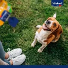 Vitakraft Licks&Treat krém kutya jutalomfalat máj 60g