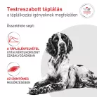 Royal Canin Veterinary Glycobalance Carbohydrate glükózellátás szabáyozás nedves kutyaeledel konzerv 12x410g