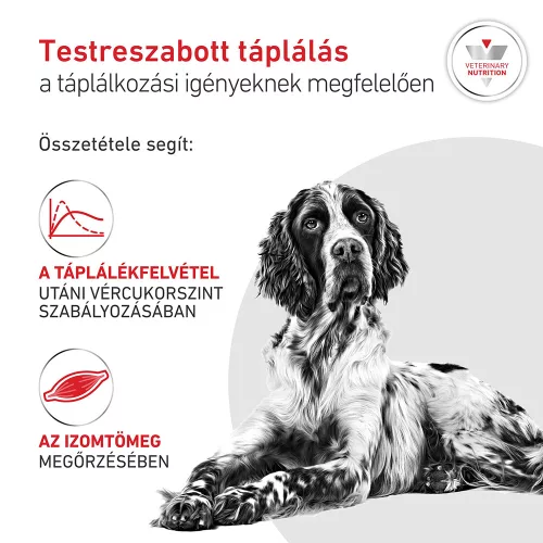 Royal Canin Veterinary Glycobalance Carbohydrate glükózellátás szabáyozás nedves kutyaeledel konzerv 12x410g