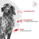 Royal Canin Veterinary Glycobalance Carbohydrate glükózellátás szabáyozás nedves kutyaeledel konzerv 12x410g