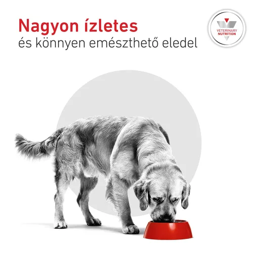 Royal Canin Veterinary Glycobalance Carbohydrate glükózellátás szabáyozás nedves kutyaeledel konzerv 12x410g