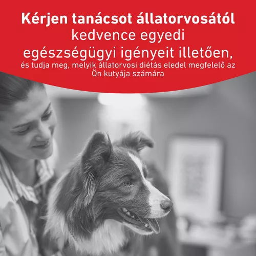 Royal Canin Veterinary Glycobalance Carbohydrate glükózellátás szabáyozás nedves kutyaeledel konzerv 12x410g