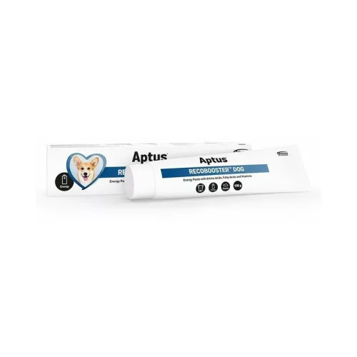 Aptus RECOBOOST energia paszta kutyáknak 100g