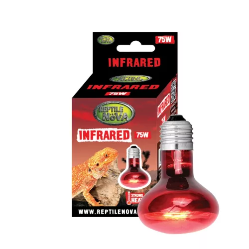 Reptile Nova Infravörös terrárium izzó 75W E27