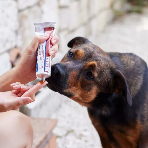 Virbac Nutri-Plus gél kiegészítő eledel kutyáknak és macskáknak 120g