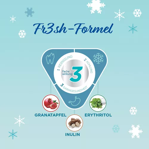 Virbac Veggiedent Fr3sh rágócsont kutya kiegészítő eledel L 15db 490g